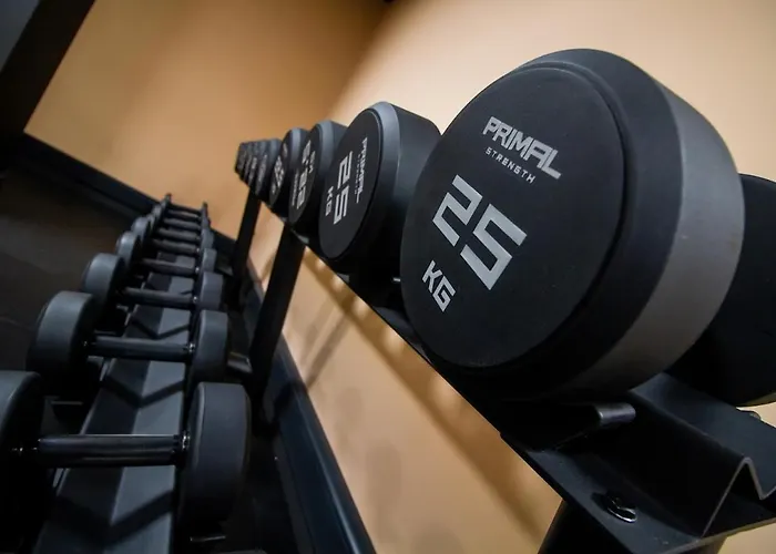 Highpoint 布雷得佛